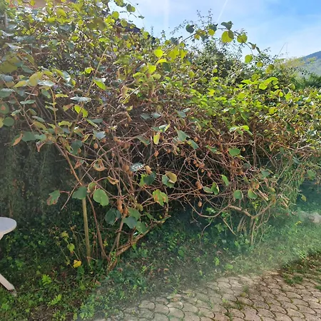 Maison, Grand Jardin, 8 Min A Pied, Piste Cyclable, 6 Couchages Sevrier